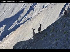 100 POUR CENT PUR HAUTES ALPES_000003